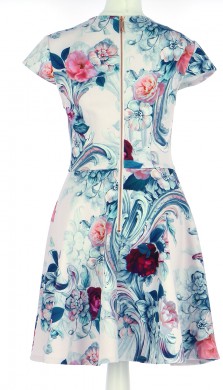 Vetements Robe TED BAKER MULTICOLORE